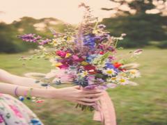 春の喜びを手放さない。手作り押し花で春を閉じ込めてみませんか？