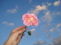 貴女はどのお花にする？春1番のネイルデザインは3種類のフラワーネイルで。