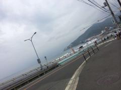 愛犬との思い出を作るなら♡ペットに優しい伊東市観光で決まり。