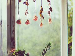 本物だから可愛いの。ドライフラワーを閉じ込めて指先を”花”で色付けてみませんか？