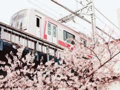 第一印象は大切です。新生活なりたい印象別春のおすすめネイルデザイン♡