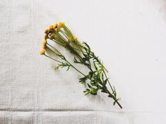 忙しさを忘れて、青空の下で。ピクニック欲高まるスポット×パン屋さんガイド