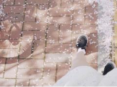 指先に再現する小さな春。散歩で見つけた4つの"春の風物詩"をネイルに