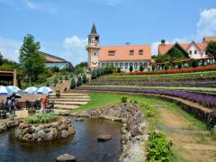 日本が誇る山岳地！山梨県観光で絶景やおいしいグルメを満喫しよう