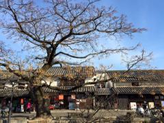 見て、食べて、感じる観光。倉敷市の美しい街並と、島アートの旅！