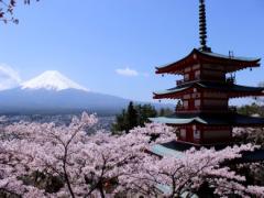 「ザ・日本」なエンタメ旅館？The Ryokan Tokyo YUGAWARAがスゴイ