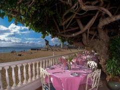 ピンク×自然×海のコラボ♡ハワイのレストラン『ハウツリーラナイ』が可愛い♡