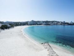 見て触れて楽しもう！アドベンチャーワールド周辺で宿泊するならこのお宿