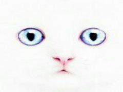 まるで人魚姫の鱗♡きらきら煌めく、Eleganceのグリッターでオーロラネイル