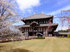 世界遺産の宝庫！1泊2日で巡る、奈良のとっておき観光プラン