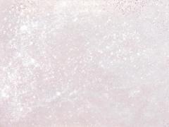 クリアだから素材が生きる。3つの美しい物を閉じ込めたクリアネイル