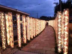 京都のイルミネーションが美しすぎる♡ロマンチックな夜を演出できるおすすめスポット