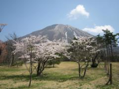 旅行シーズン到来！隠れた観光名所が多い鳥取県で最高の旅に