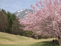 山々に囲まれた町、猪苗代！自然豊かな観光スポットを巡ろう♪