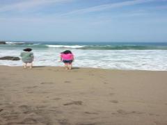 青森を思いきり観光したい。八戸市での旅行を100％充実させるプラン♪