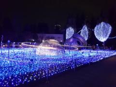 イルミネーションにグルメ、100点満点の東京ミッドタウンデート♡