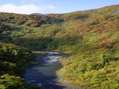 大自然を感じる会津の旅。温泉にゆったり浸かって心も体も癒やされちゃお♡
