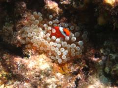 青い海が広がる石垣島！素敵な観光スポットを巡って恋するように旅をしよう♪