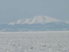網走はグルメの街！静かなホテルで自然と豪華な食事を楽しもう♪