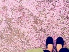 神楽坂で"和"を感じて。抹茶スイーツを楽しめるお店3選