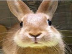 心安らぐ幻想的な絶景。広島県の地域別おすすめ観光スポットBEST30