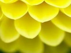 もう買えないかも？♡手持ちコスメで出来る“クッションファンデ”のDIY