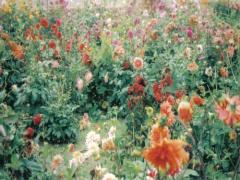 春夏の定番ボタニカルネイル。1ランク上にするなら庭園をイメージしてっ♡