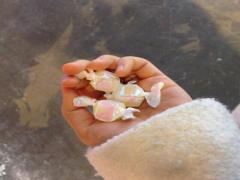 ねぇ、何色食べる？キャンディみたいな透明感と色を楽しむシロップネイル