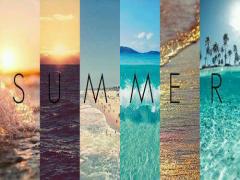 夏といったらシェルネイル！キュートな3色別ネイルカタログ