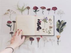 ちび爪さんに絶対行ってほしい♡LIMのネイルサロンでお気に入りを見つけよう