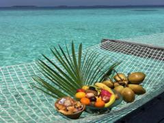 指先からフレッシュさを全開に！6種類の果実でつくる厳選フルーツネイル♡