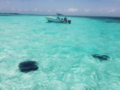 深海の色に魅せられて。‘ロイヤルブルーネイル’で見る神秘の世界