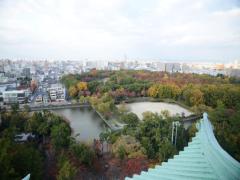 何これ、一味違う！？名古屋の体感的なイルミネーション巡り