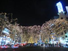 新しい観光スポットも登場！杜の都、仙台へ旅行に行きませんか？