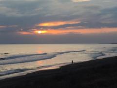 常夏の南房総「館山」の温泉。美味を味わい歴史を感じる旅へ出かけよう♡