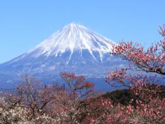 観光スポットやグルメが目白押し♡静岡県で海や山をじっくり味わおう