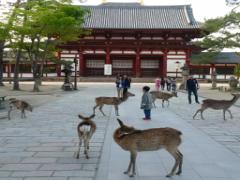 世界遺産も目白押し！いにしえの都、奈良のおすすめ観光スポットを巡る旅