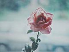 あなたの指にも咲かせましょう♡一輪の花で美しいネイルライフを