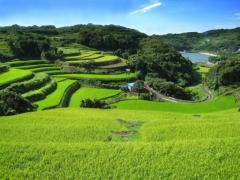 自然とグルメの街、平戸市！ゆったり観光して癒されよう♪