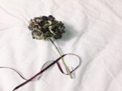 大人かわいい、はじめました。あどけなさが残る小花柄ネイル16選