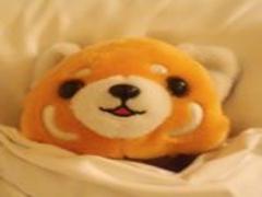 江ノ電に乗って海を独り占め！一人旅でも楽しめる観光プラン♡