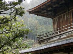 水も滴るいい都。雨だからこその魅力が詰まった梅雨の京都の歩き方