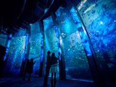 海の生き物を爪に仕込んで…♡雨の日も暑い日も楽しめる水族館デートに行こう