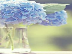 雨だって魅力的♡指先から満喫する、“梅雨モチーフネイル”カタログ