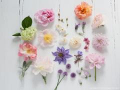 あなたはどの花柄ネイルをチョイスする？夏が咲く指先を楽しんでみて♡