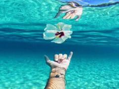 指先に咲く、夏の花。とびきり可愛い4つのフラワーモチーフネイルまとめ