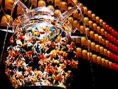 《東京・大阪・金沢》金魚舞い踊る、夏。アートアクアリウムが今年も開催決定！