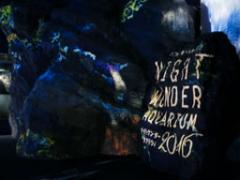 幻想的な海の世界へ。「えのすい」のナイトワンダーアクアリウムが今年も開催♡