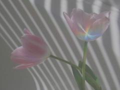 アクセサリーもいらない程、華やか。見れば見るほど美しいのは〝モロッコネイル〟