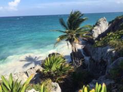 銀座で楽しむ”沖縄の海”「ソニーアクアリウム」で観光気分を味わって♡